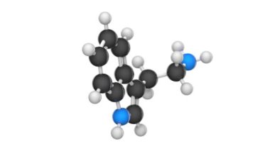 Tryptamine monoamin alkaloittir. Formül C10H12N2. 3 boyutlu görüntüleme. Kusursuz döngü. Kimyasal yapı modeli, top ve sopa. Beyaz arkaplan