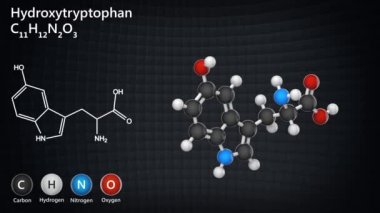 Hidroksitriptofan kimyasal yapısı, serotoninin öncüsü ve triptofan metabolik ara maddesi. C11H12N2O3. 3 boyutlu görüntüleme. Kusursuz döngü. Kimyasal yapı modeli: Top ve Sopa.