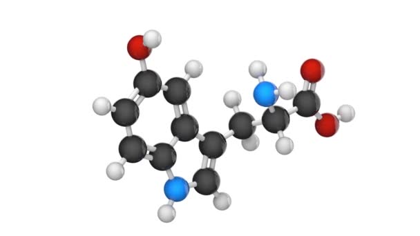 Hydroxytryptofaan Chemische Structuur Voorloper Van Serotonine Metabool Tussenproduct Van Tryptofaan — Stockvideo