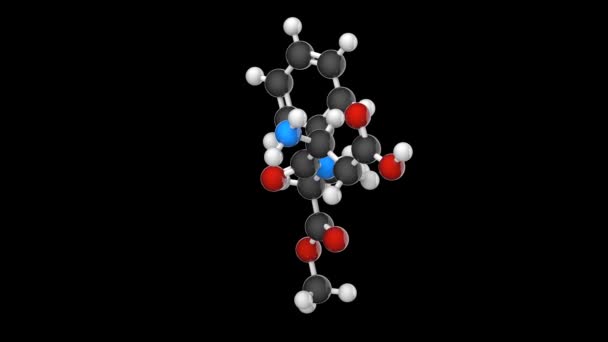Aspartaam Kunstmatige Zoetstof Chemisch Model Moleculaire Structuur E951 Levensmiddelenadditief C14H18N2O5 — Stockvideo