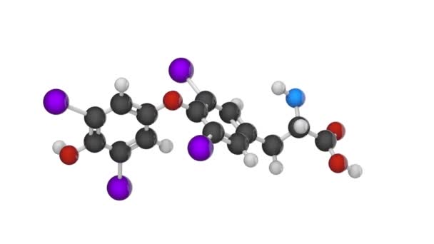 Tiroxina Principale Ormone Derivato Dalla Ghiandola Tiroidea Formula C15H11I4No4 Rendering — Video Stock