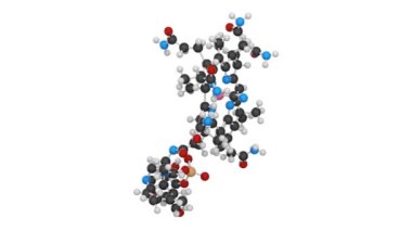 B12 vitamininin kimyasal yapısı (siyanocobalamin). Formül: C63H88CoN14O14P. 3 boyutlu görüntüleme. Kusursuz döngü. Kimyasal yapı modeli: Top ve Sopa.