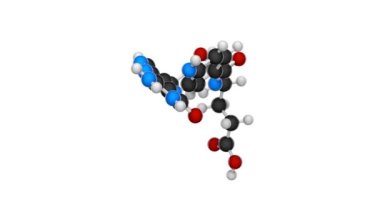 B9 vitamini (Folate). Ayrıca Folacin olarak da bilinir ve tarihsel olarak M vitamini olarak da bilinir. Kusursuz döngü. Kimyasal yapı modeli, top ve sopa. Beyaz arkaplan.