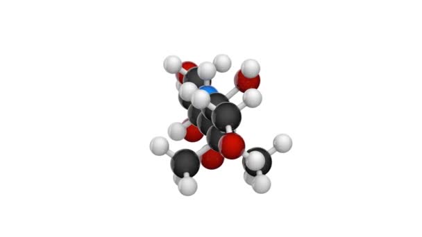 Estructura Molecular Vitamina Ácido Pantoténico También Conocido Como Pantotenato Representación — Vídeos de Stock