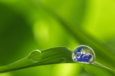 leaf with rain droplets - Recovery earth concept clipart