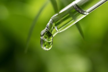Bitkisel özü Damlalık