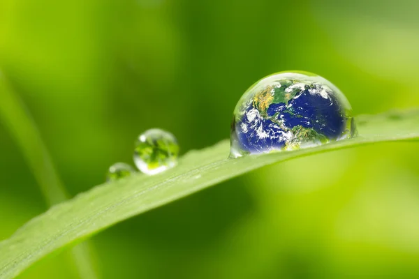 Hoja con gotitas de lluvia - Concepto de tierra de recuperación — Foto de Stock