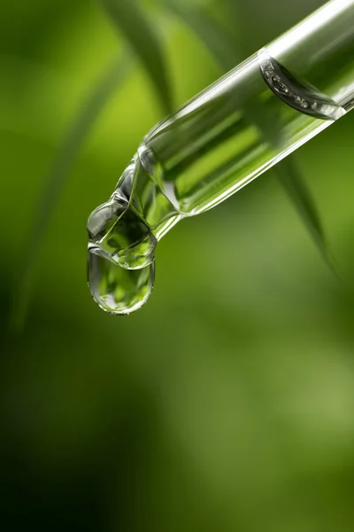 Herbal essence Dropper — Stock Photo, Image