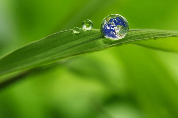 Blad med regn droppar - återvinning jorden koncept Stockfoto