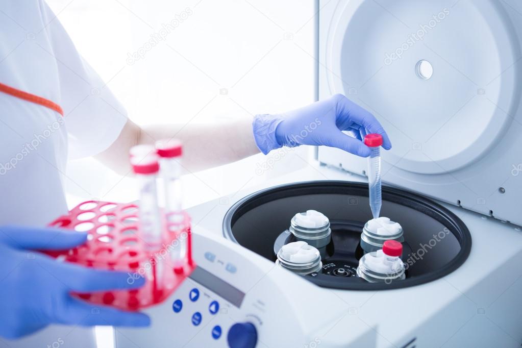 Working in microbiology laboratory