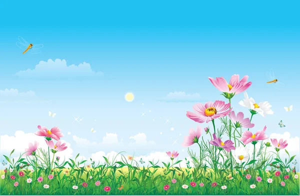 Beautiful summer flower meadow. Vector illustration