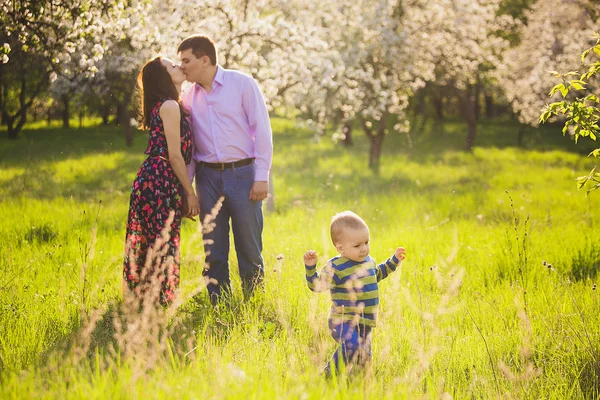 Schöne junge Familie hat Spaß im blühenden Garten des Frühlings — Stockfoto