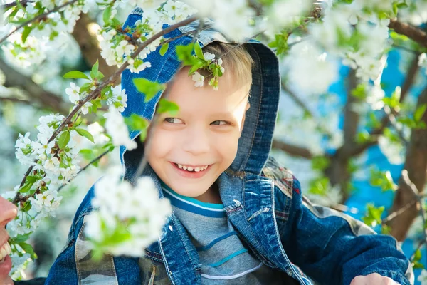 春の花の木の枝の間で座っている少年 — ストック写真