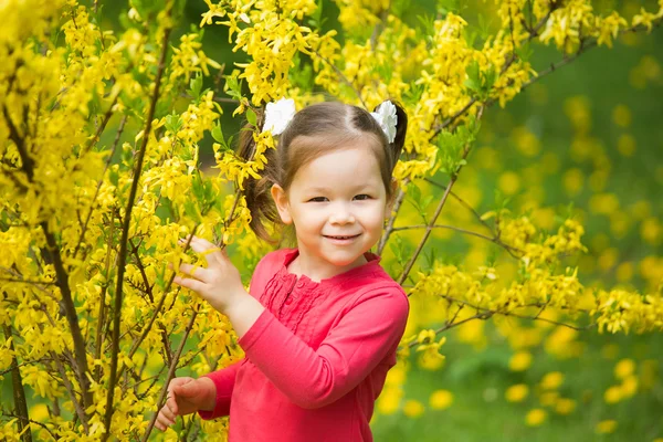 Child playing hide and seek — Stock Photo, Image