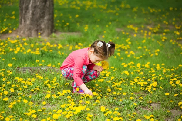 Bellezza bambina con denti di leone gialli giocare fuori su spr — Foto Stock