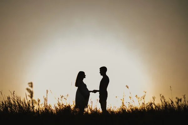 Silhueta de senhora grávida e marido — Fotografia de Stock