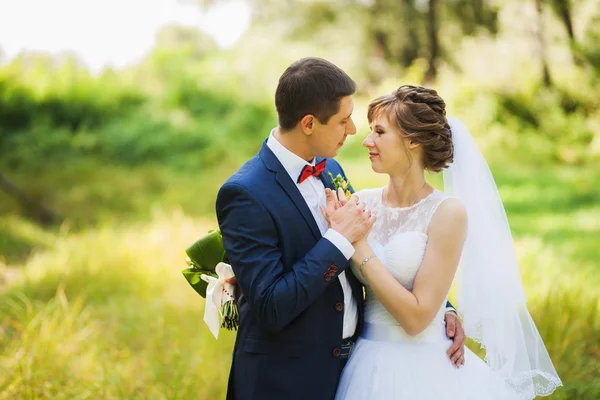 Happy bride, groom standing in green park, kissing, smiling, laughing — Stock Photo, Image