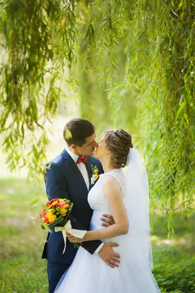 Happy bride, groom standing in green park, kissing, smiling, laughing — Stock Photo, Image