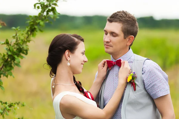 Casal de casamento apaixonado — Fotografia de Stock