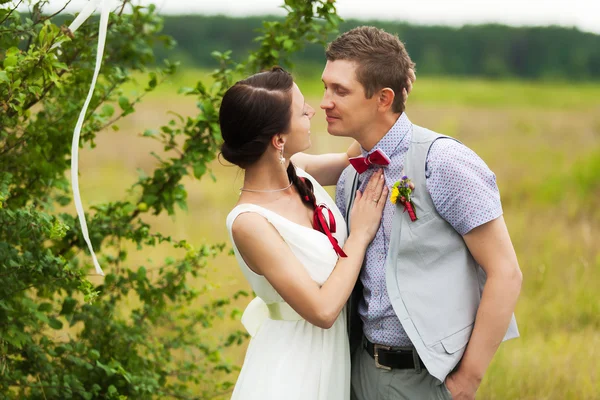 Casal de casamento apaixonado — Fotografia de Stock