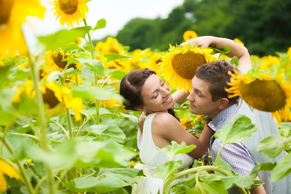 Casal feliz no amor se divertindo no campo cheio de girassóis — Fotografia de Stock