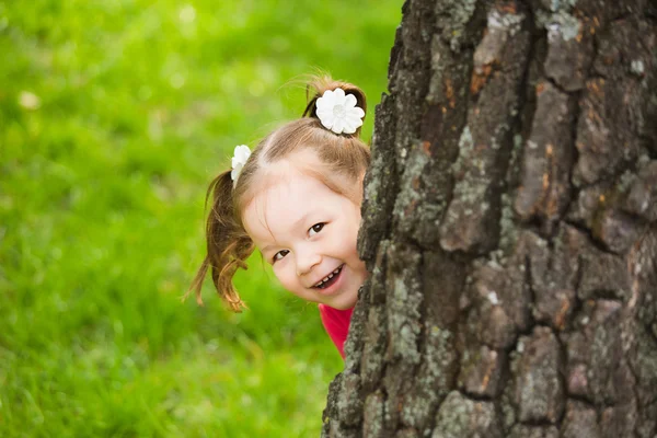 Carino bambina nascosta dietro un albero enorme — Foto Stock