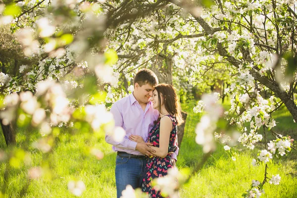 couple in love standing in spring blooming garden