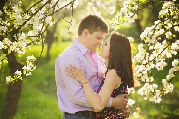 Casal apaixonado de pé no jardim florescendo primavera — Fotografia de Stock