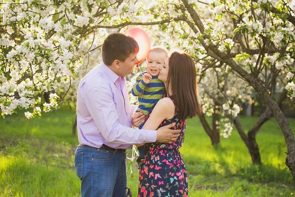 Porträt einer glücklichen Familie. Vater, Mutter, Kind umarmen und küssen — Stockfoto