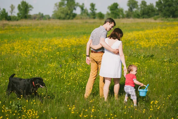 Glückliche Familie geht mit schwarzem Labrador-Hund im Sommerfeld spazieren — Stockfoto