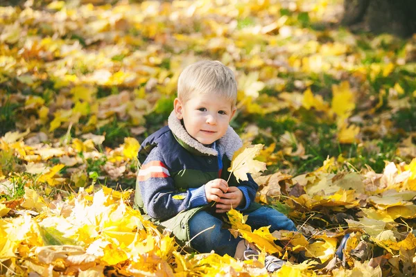 Söt liten unge leker med höst orange Bladen i park — Stockfoto