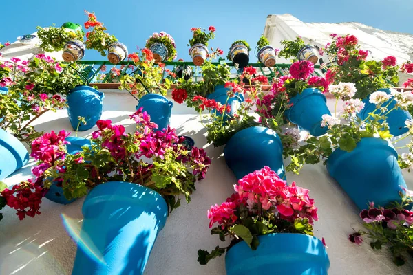 Andalusian decoration with typical flowers blue pots on facades view from below — Fotografia de Stock
