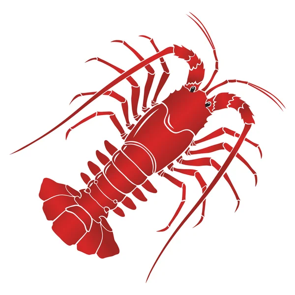 Vector boiled spiny or rock lobster — Stock Vector