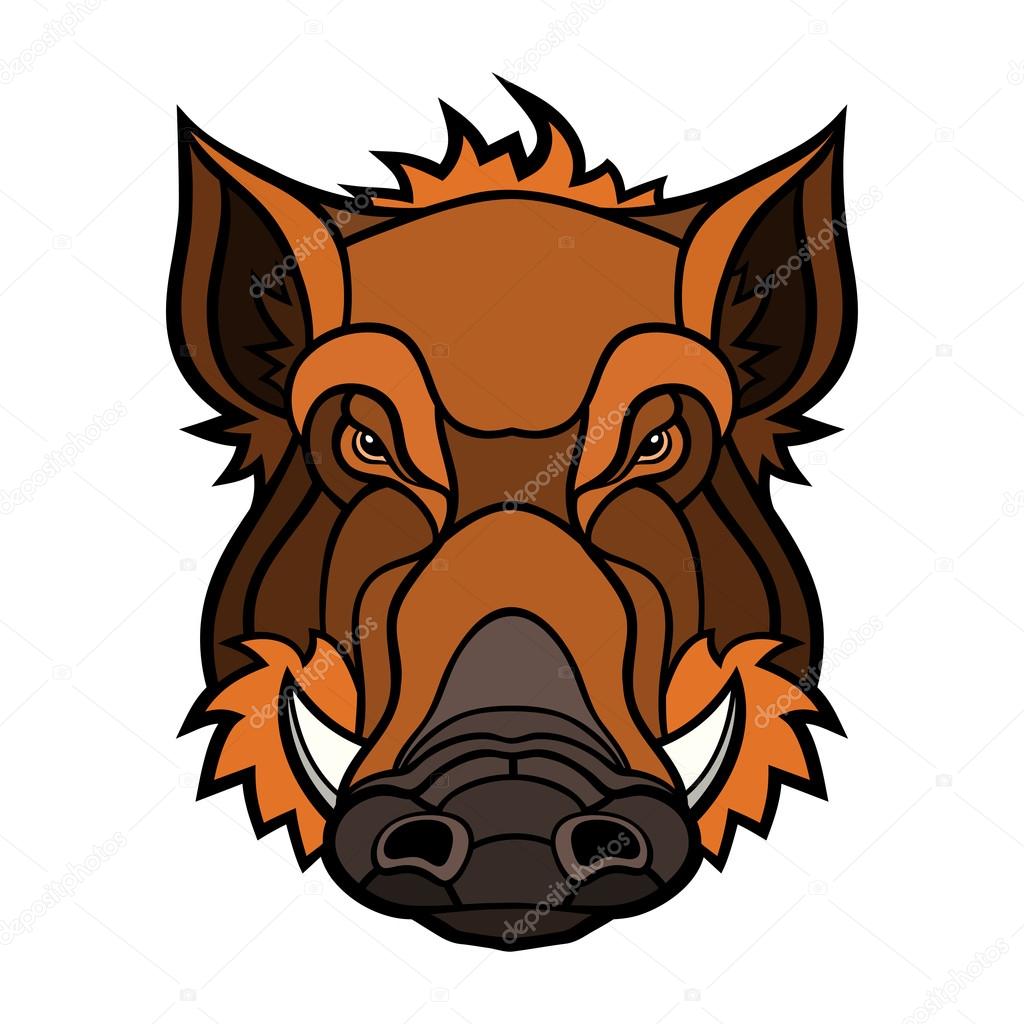 Head of boar mascot color design. Vector illustration