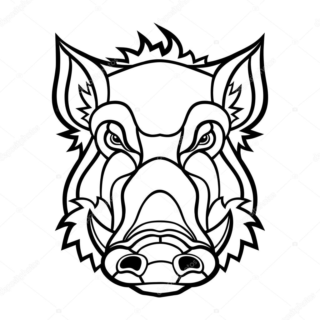 Head of boar mascot design. Vector illustration