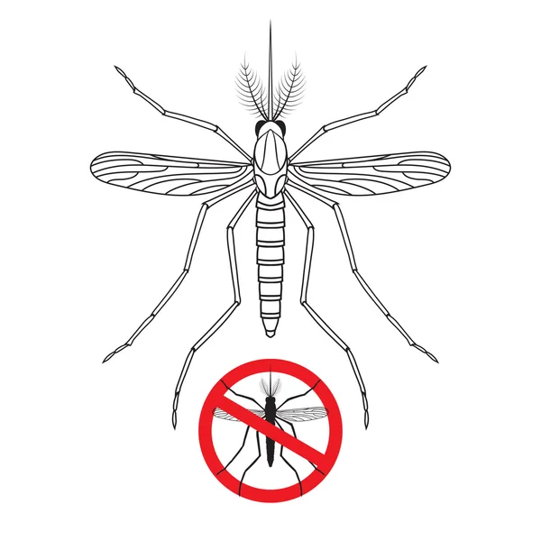 Mosquito y No hay silueta de signo de mosquito — Archivo Imágenes Vectoriales