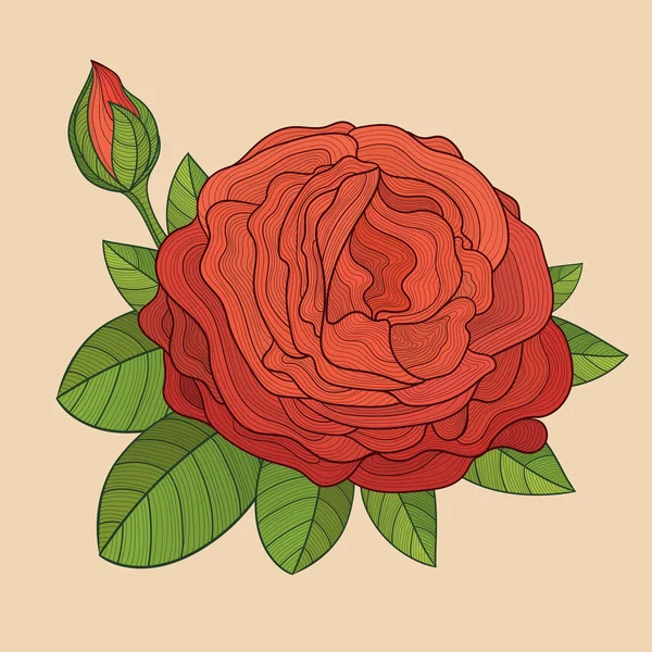Декоративна ізольована троянда з бутоном — стоковий вектор