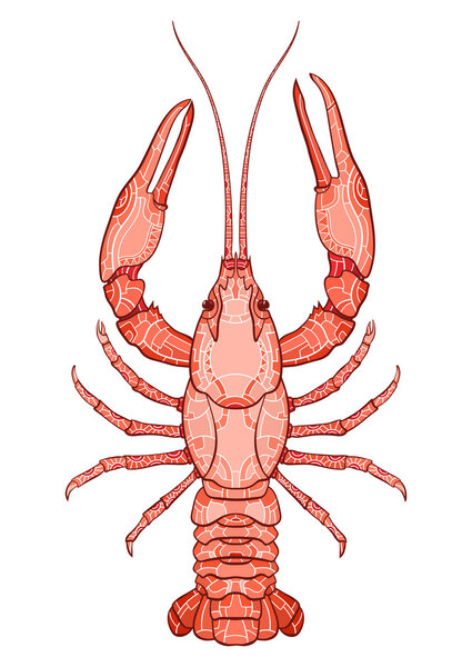 Decorative isolated crayfish