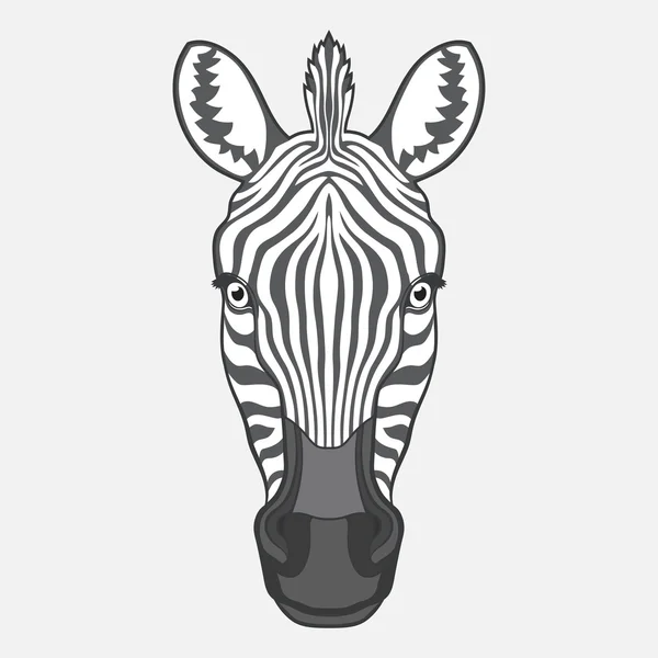 Zebra huvud — Stock vektor