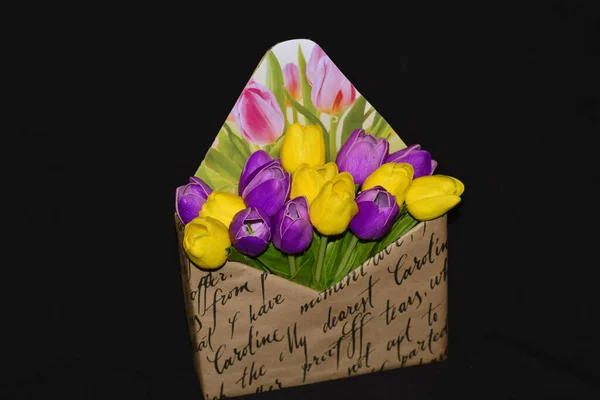 Güzel laleler, parlak bahar çiçekleri