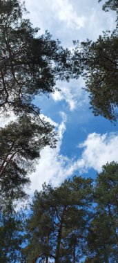 Masaüstünüzde Güzel Bulutlar Duvar Kağıdı Arkaplan Ekran Koruyucusu