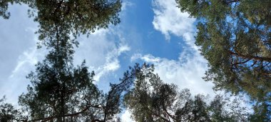 Masaüstünüzde Güzel Bulutlar Duvar Kağıdı Arkaplan Ekran Koruyucusu