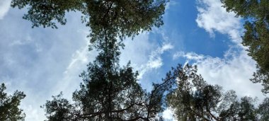 Masaüstünüzde Güzel Bulutlar Duvar Kağıdı Arkaplan Ekran Koruyucusu