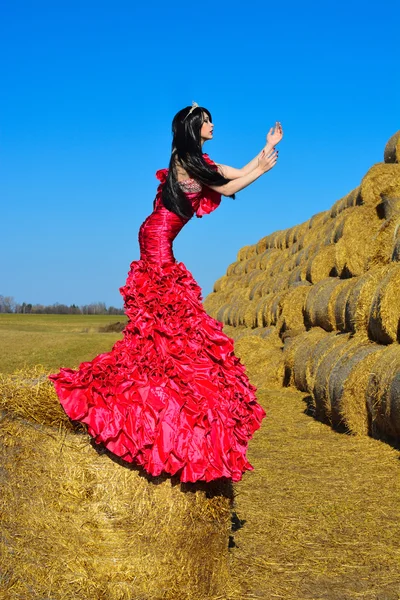 güzel bir elbise içinde saman modelinde