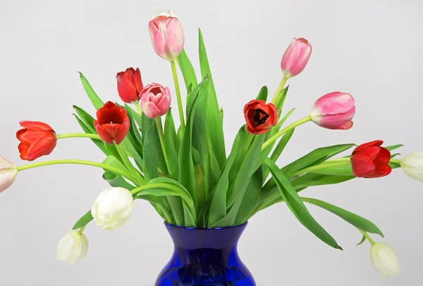 Bouquet de tulipes au début du printemps — Photo