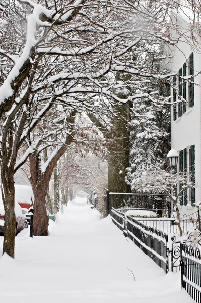 雪に覆われた歩道 — ストック写真