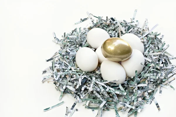 Ninho de dinheiro com ovo dourado — Fotografia de Stock
