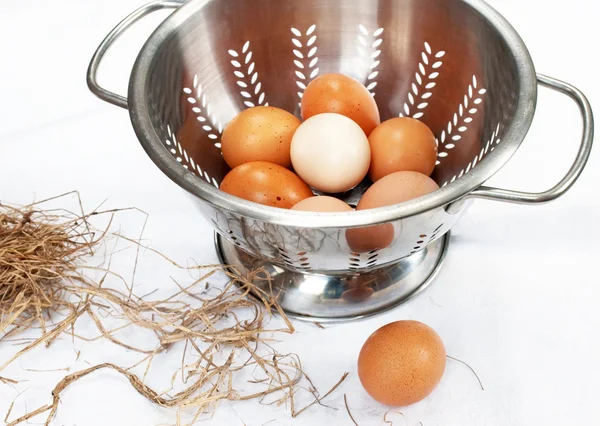 Braune Eier und Sieb — Stockfoto