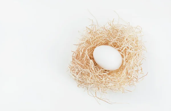 Ei im Nest auf weiß — Stockfoto