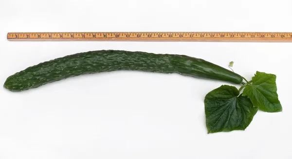 衡量英语黄瓜 — 图库照片